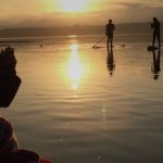 Wing Foiling, SUP and Surf Reviews - Technology