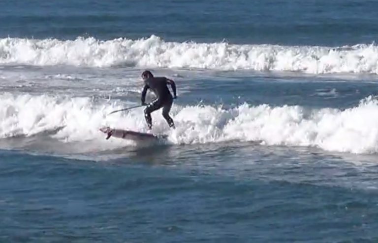 Leroy Xavier Gong 9 foot HD pro...