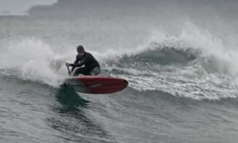 Wild Coast