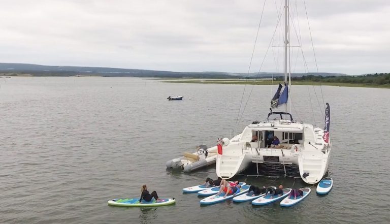 Poole Harbour SUP Safari