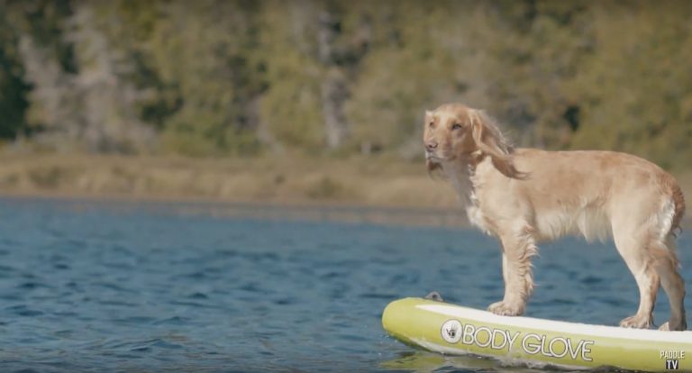 Paddling the St. Croix River in Maine | Facing Waves