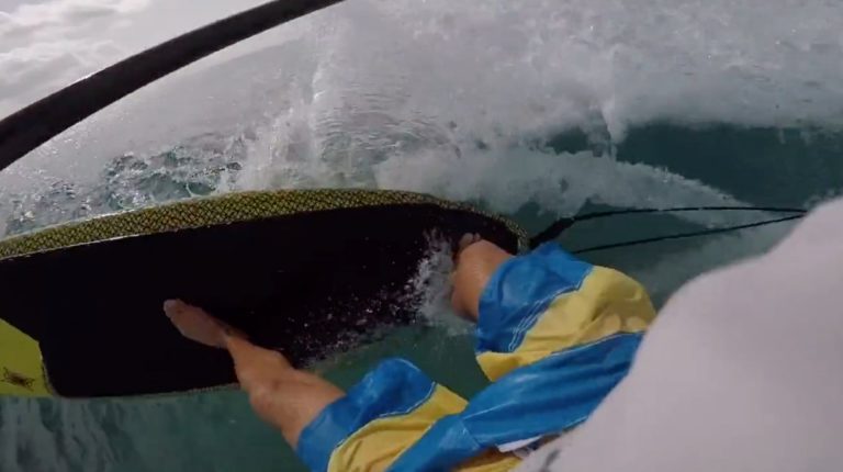 GoPro Hobbit snacking on some Hurricane Irma frontrunners somewhere