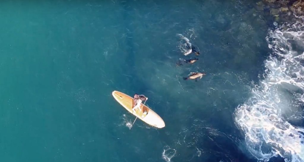 Stand Up Paddling and Kayaking the Galapagos Islands | Facing Waves