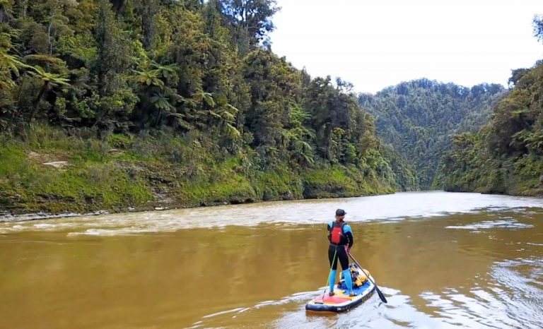 Whanganui River Paddle Boarding