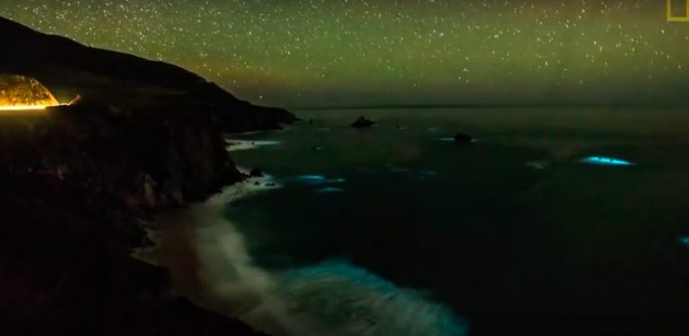 See a Glowing Plankton Bloom in California's Big Sur | National Geographic