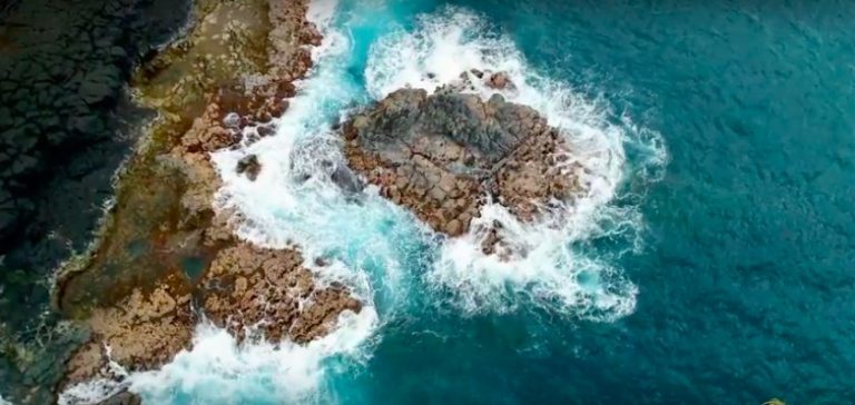 ALICE ARUTKIN and TATIANA WESTON - SUP & Surfing in Maui, Hawaii