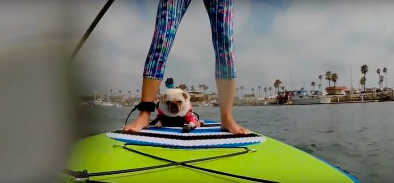 SUP Around The World | Airhead SUP