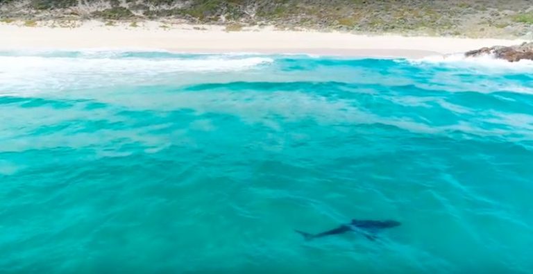 Wild Waters of West OZ: No Contest hits Margaret River