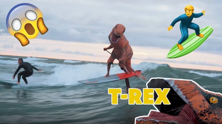 FOIL SURFING T-REX