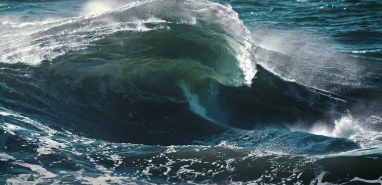Fishpeople | Lives Transformed by the Sea