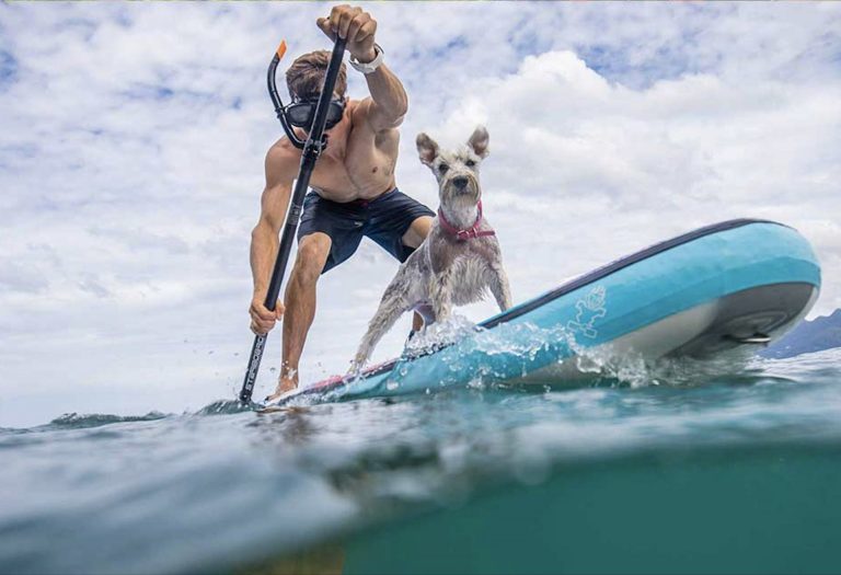 Google’s Most Frequently Asked Questions About SUP Answered