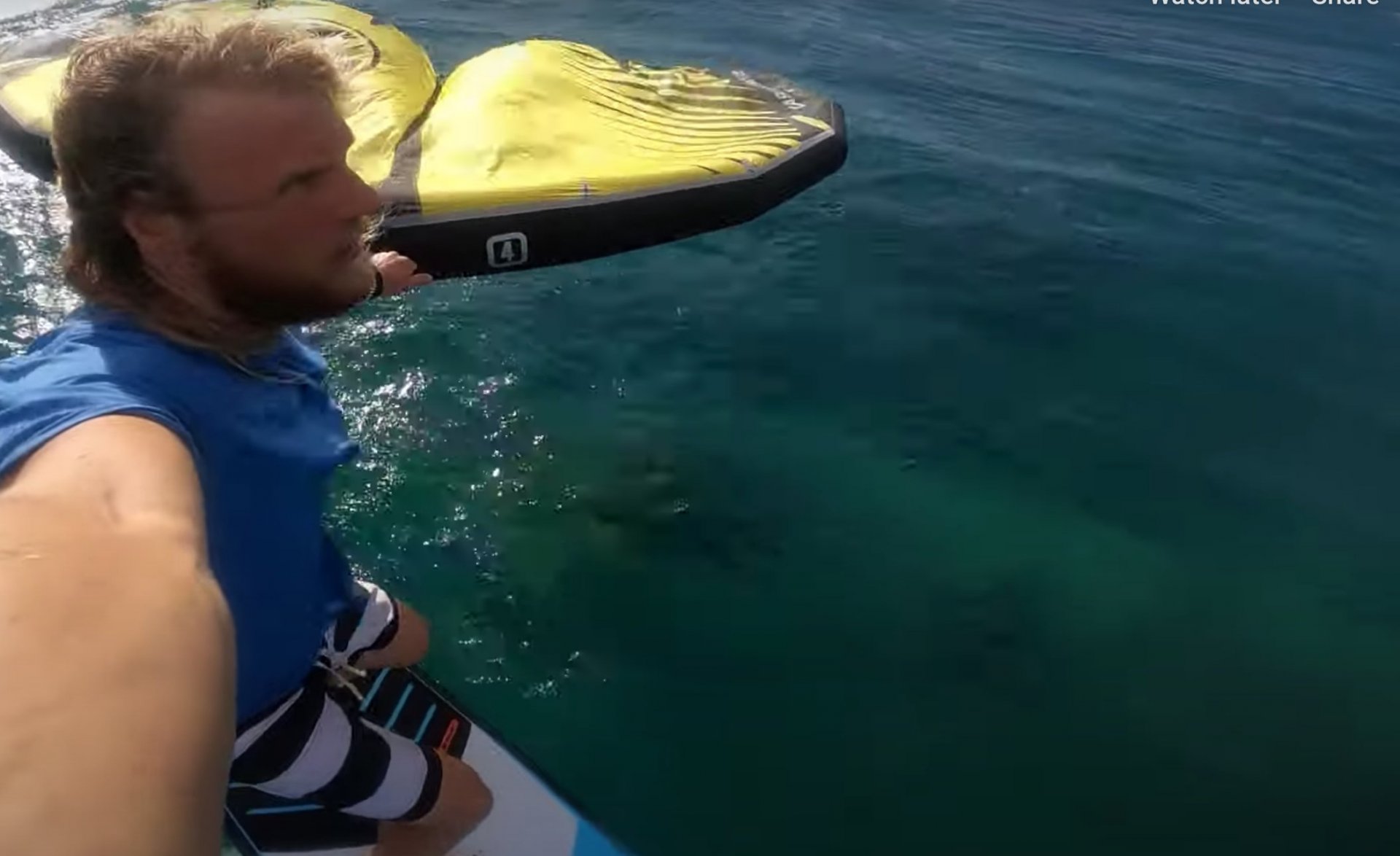 Kite • Wind • Wing surfing