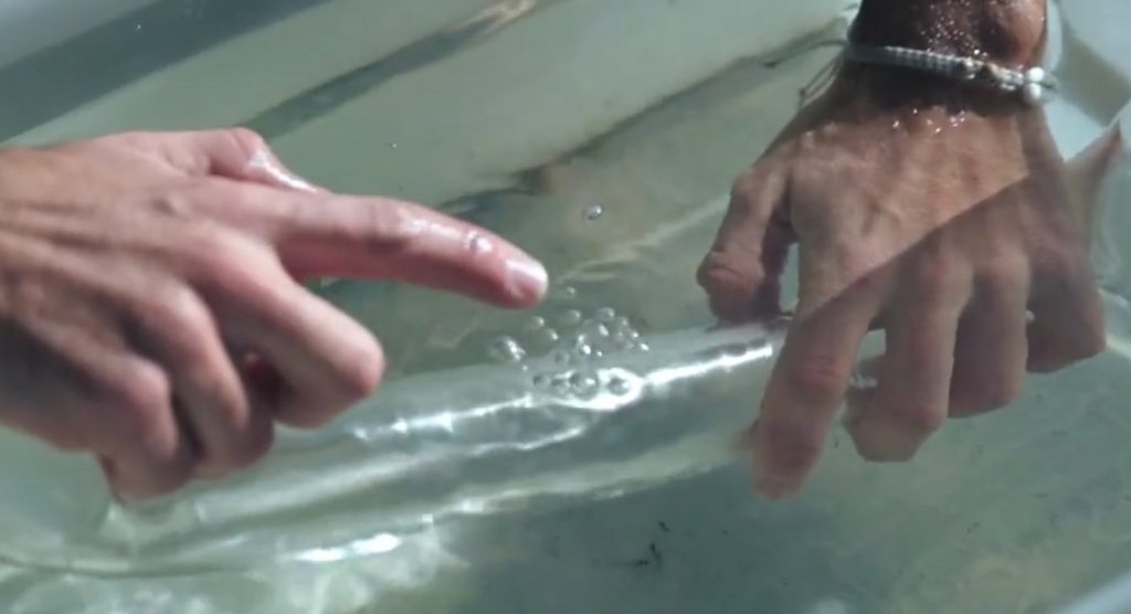How to fix a wing bladder puncture with Ozone