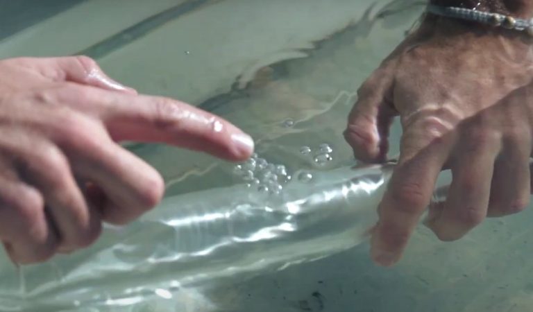 Ozone Wing bladder puncture repair