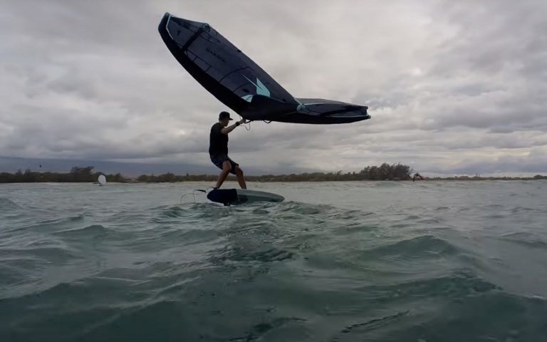 Winging on a gloomy day.