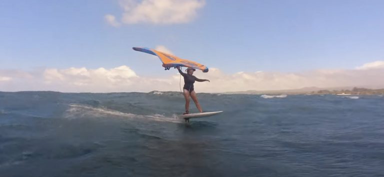 A super windy summer full of winging