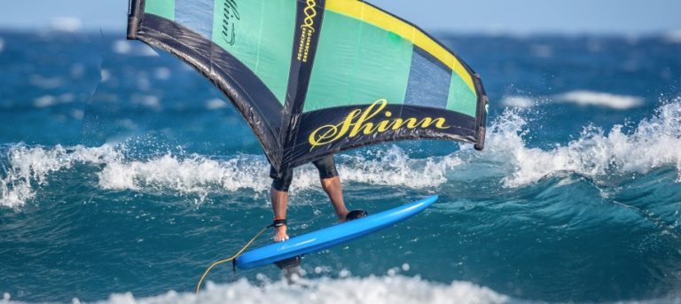 Shinn NUBO Board 2022 | Shinnworld