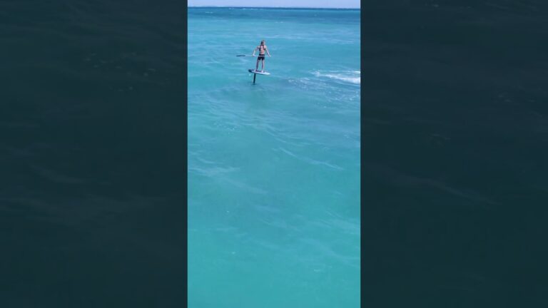 When the 30km downwind run comes to an end #wingfoil #downwind #foil