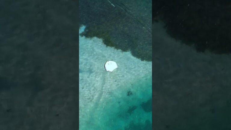 As clear as it gets  #carribean #clear #ocean #drone #wing