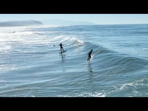 Foil v Foil