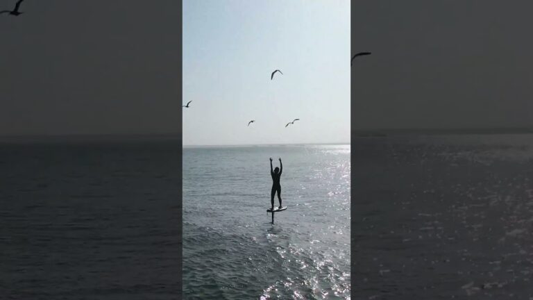 Taking flight with birds on an endless wave #shorts