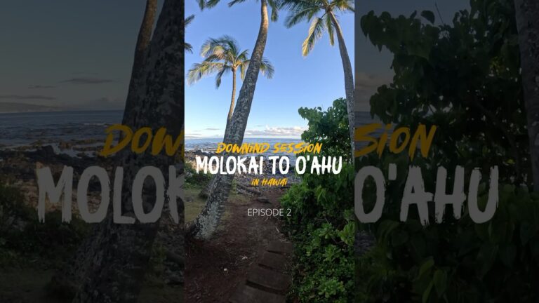 VLOG Nº2 NOW AVAILABLE