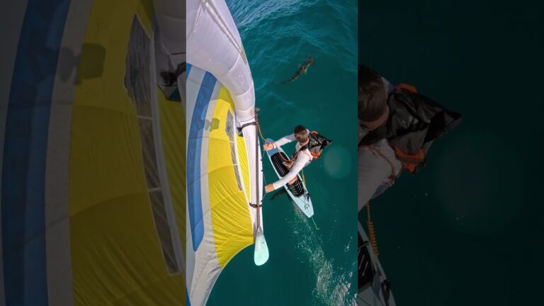 Wing Foiling right by a Hammerhead Shark!