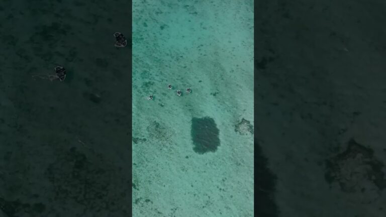 Stingrays or Wings? Ride the Flow in Mauritius! 