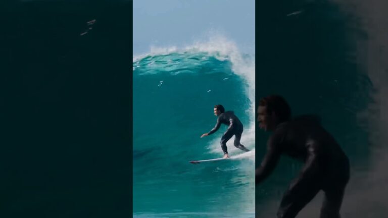 Surfing with DOLPHINS #dolphin #surf