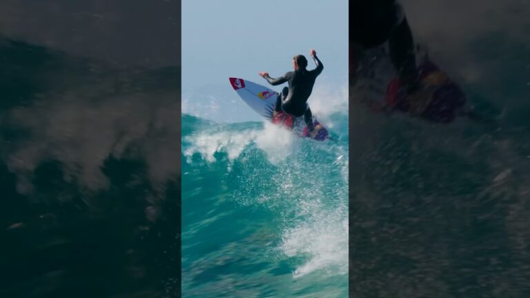It’s fine if they drop in on you #surf #dolphin