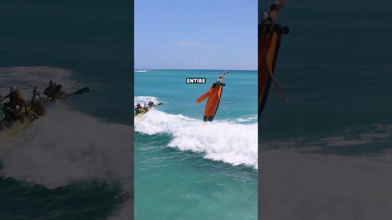 Who wants to try that ? #costume #surf