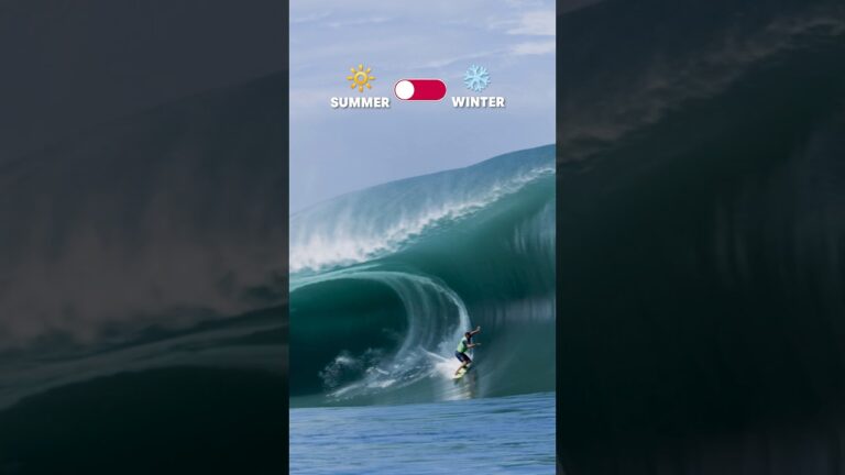 Scoring all year long ‍ #barrel #surf