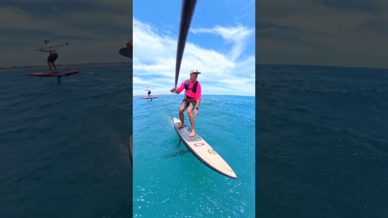 Summer Down Wind Foiling # #surf downwindfoiling #foilboarding #foiling