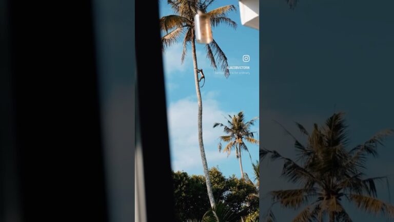 Sri Lanka foil paradise - Jacob Victorin + Eagle X 900 #fonefoil