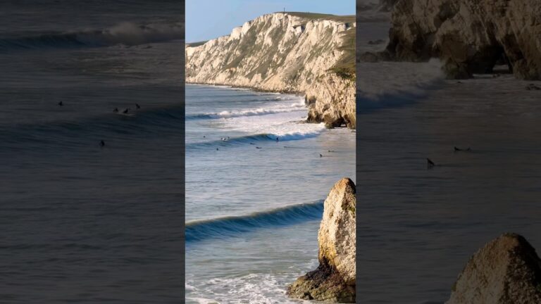 Christmas surf session! #courtintheact #surf #surfing #freeride