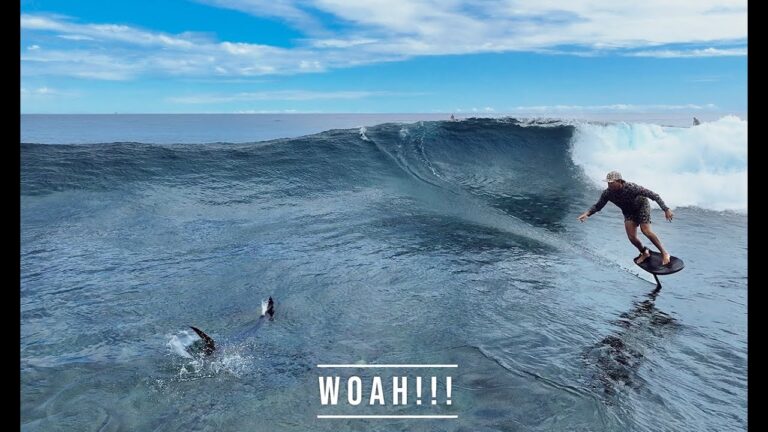 Is that a Sailfish in the Lineup??!!