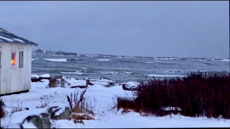 Varberg Winter Sessions - Läjet SUPfoil & Parawing