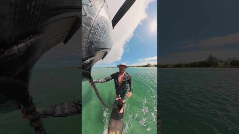 Wingfoil Session Turns Magical: Dolphins Appear! #mauritius #dolphins #wingfoil