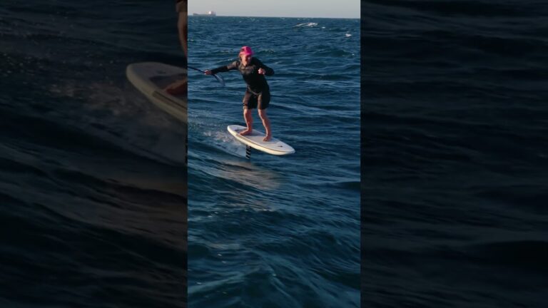 Downwind Glide with Flying Fish
