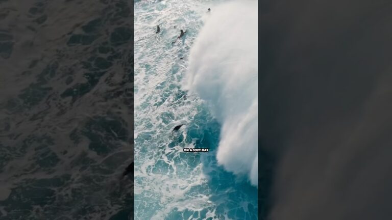 the PROVING GROUND of surfing #pipe #hawaii #surf