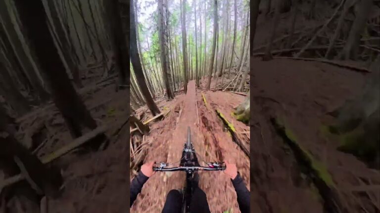 ::: POV: Crash, reset, send @alexvolokhov_ chasing that forest flow.
