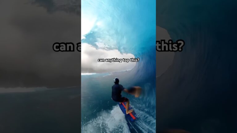 POV: the best seat in the house