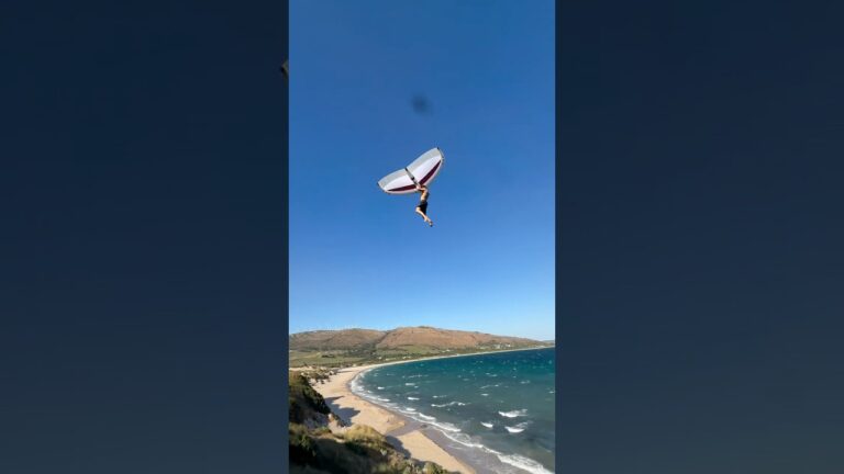 Flight mode activated @x@xavicorresting some new wings
