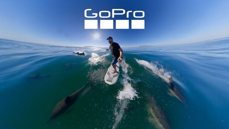 Once-in-a-Lifetime Dolphin Encounter