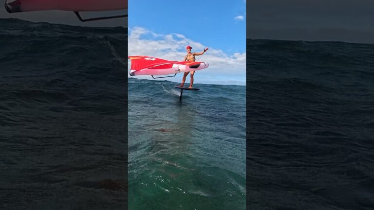 Do what you like ‍ #wingfoil #maui #lifeissimple #foiling #shorts