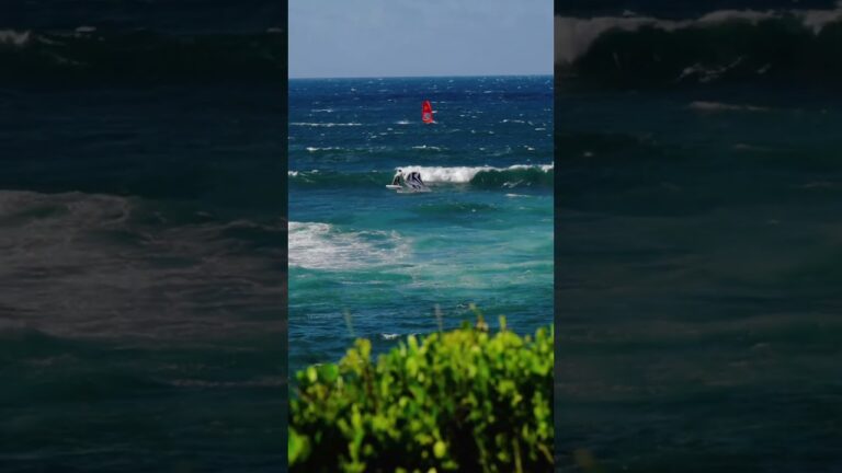 A little hello from reigning World Champ @CashBerzolla #wingfoiling #wingfoil #watersports