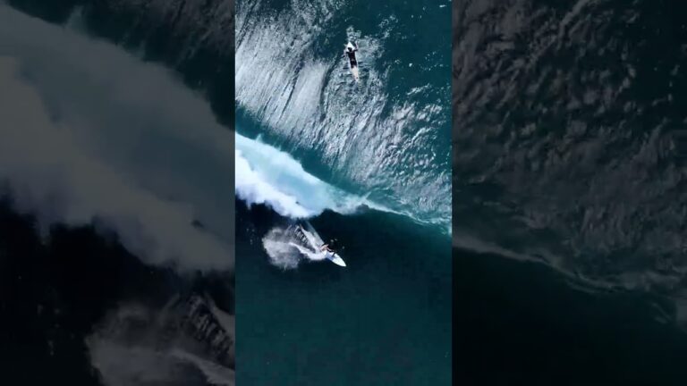 Surf Shield - setting new benchmarks in the industry.